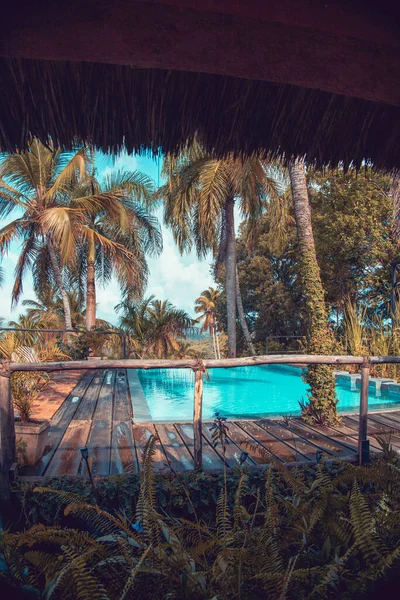 美丽的绿松石游泳池在一个有棕榈树和木制栅栏的生态度假胜地的花园里 生态住宿典型的气氛和材料 — 图库照片