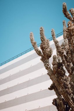 İbiza, İspanya 'da modernist mimari. Yumuşak renklerle boyanmış beton binalar. Asgari ve temel çizgiler. Tipik İspanyol balistik mimarisi.