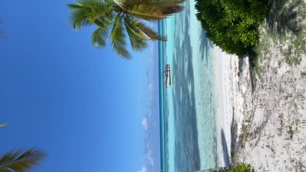 Cámara Panorámica Para Revelar Belleza Isla Saona República Dominicana Aguas — Vídeo de stock