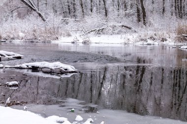 Karlı bir ormanda kış nehri. Orman kış nehri.