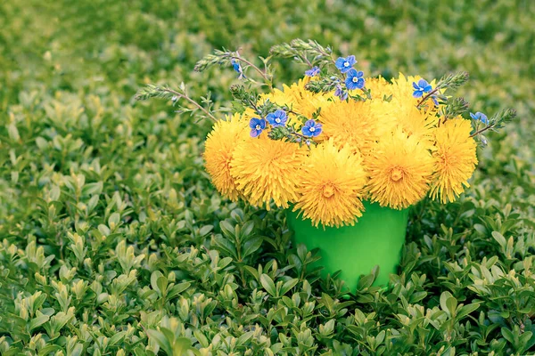 Bouquet of dandelions and blue flowers in a bucket on the grass. Copyspace. Selective focus