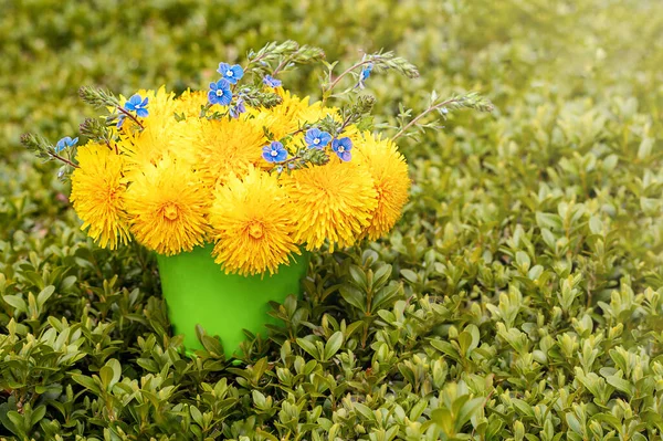 A bouquet of dandelions and blue flowers in a bucket on the grass in the sun. Copyspace. Selective focus
