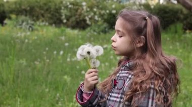 Bahar parkında karahindiba üfleyen bir kız. Mutlu çocuk dışarıda eğleniyor.