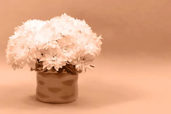 Bouquet of chrysanthemums in a ceramic vase on a peach background. Peach color 2024.