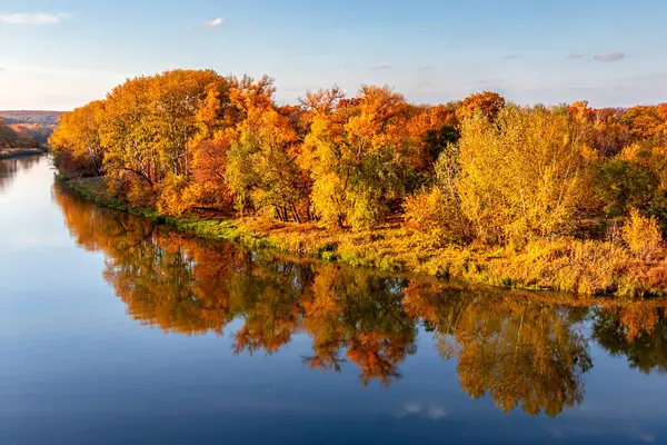 Multicolored autumn trees in the sun on the river bank. Autumn landscape. Bright colors of autumn by the river.