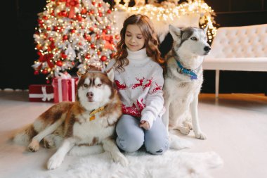 Noel geçmişinde iki Husky olan bir kız..