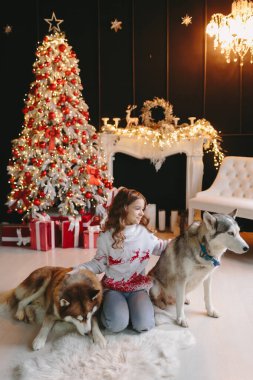 Noel geçmişinde iki Husky olan bir kız..