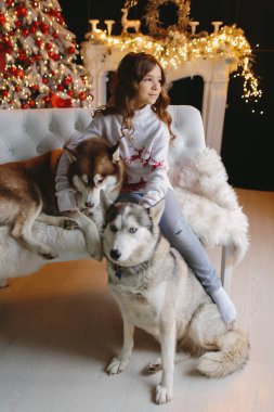 Noel geçmişinde iki Husky olan bir kız..