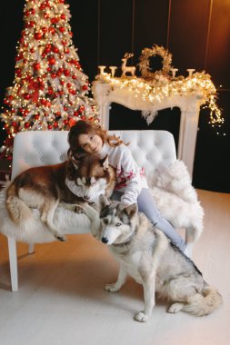 Noel geçmişinde iki Husky olan bir kız..