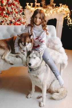 Noel arkaplanında iri kıyım köpeğe sarılan tatlı bir kız..