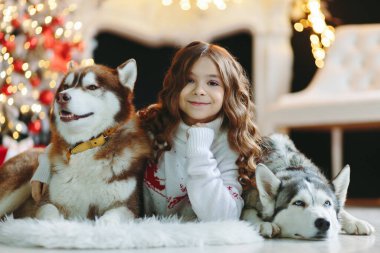 Noel geçmişinde iki Husky olan bir kız..