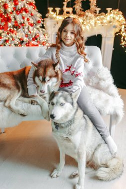Noel arka planında iki Husky ile bir kanepede oturan kız.