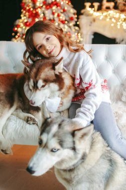 Noel geçmişinde iki Husky olan bir kız..