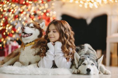 Noel geçmişinde iki Husky olan bir kız..