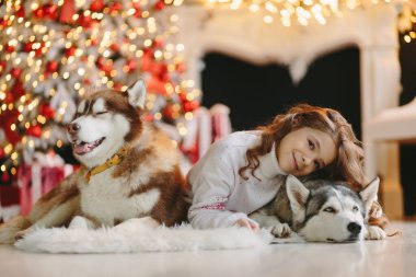 Noel geçmişinde iki Husky olan bir kız..