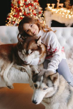 Noel geçmişinde iki Husky olan bir kız..