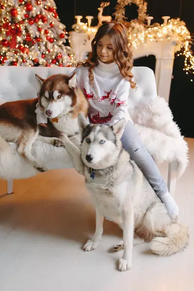 Noel geçmişinde iki Husky olan bir kız..