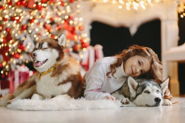 Noel geçmişinde iki Husky olan bir kız..