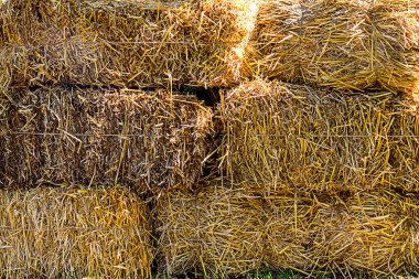 Dörtgen saman balyaları dışarıda depolanmak için doğal ışıkta sıkıca bir araya toplanmış.