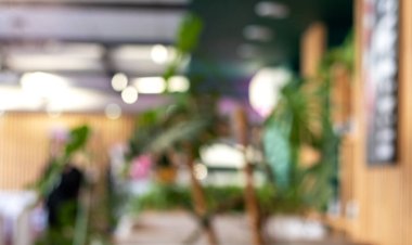 Bokeh ışıkları ve doğal elementleri olan yeşil bir iç mekanın bulanık görüntüsü