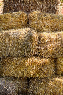 Samanlık yığınları açık hava doğal ışık ayarı içinde eşit olarak düzenlenir
