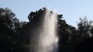 Bir fıskiyenin fıskiyeleri güneş ışınları altında bir yaz günü yeşil ağaçların arka planında yukarı doğru uçar.