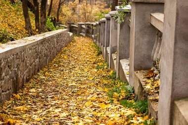 Sonbahar boyunca yapraklarla kaplı patika, taş bir duvarın yanında.