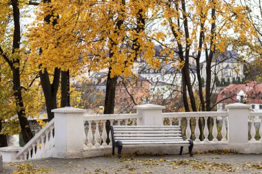Canlı sonbahar ağaçları ve yaprakları olan manzaralı parkta kırsal bir bank.
