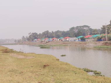 Village nature trees in Bangladesh. Nature background