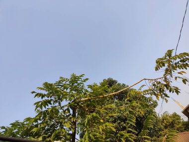 Parkın güzel manzarası 