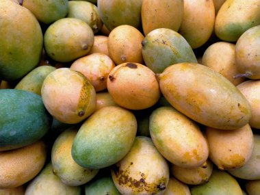Markette olgun mango meyvesi 