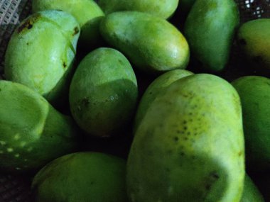 taze ve yeşil papaya meyvesi