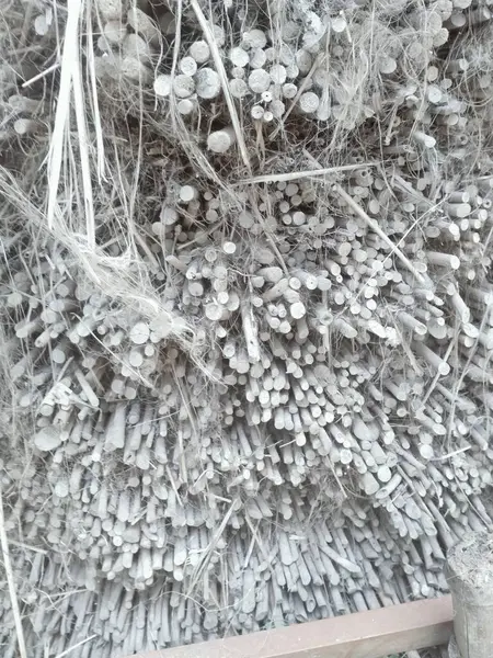 Bahçede kuru odun yığını