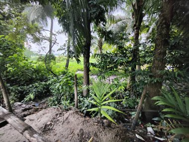 Parkın güzel manzarası