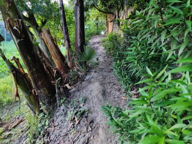 Doğanın güzel manzarası