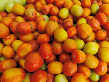 Pazarda taze domates