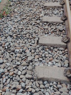 Ormanda demiryolu rayları