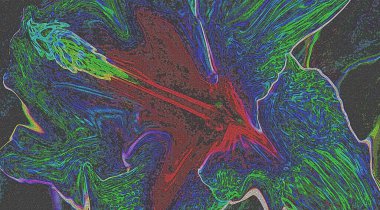 the abstract colors and blur   background texture. Abstract fractal.