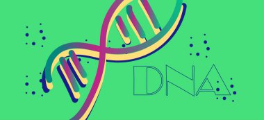 DNA, illüstrasyon, vektör şekilleri  