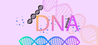 DNA, illüstrasyon, vektör şekilleri  