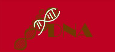 DNA, illüstrasyon, vektör şekilleri  
