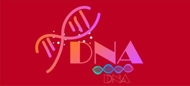 DNA, illüstrasyon, vektör şekilleri  