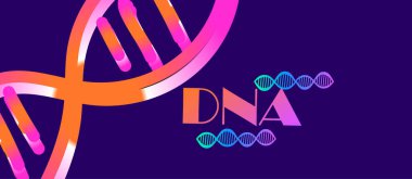 DNA, illüstrasyon, vektör şekilleri  