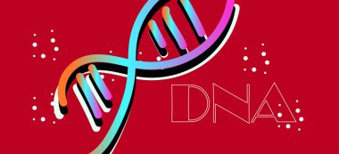 DNA, illüstrasyon, vektör şekilleri  