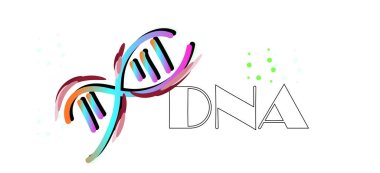DNA, illüstrasyon, vektör şekilleri  