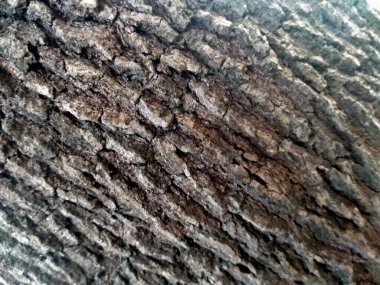 Eski ahşap arka plan. doğal arkaplan