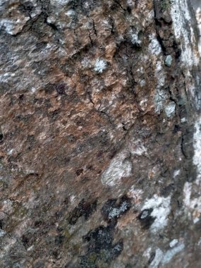 Ahşap bir yüzeyin soyut dokusu