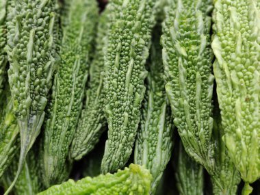 taze brokoli yakın çekim