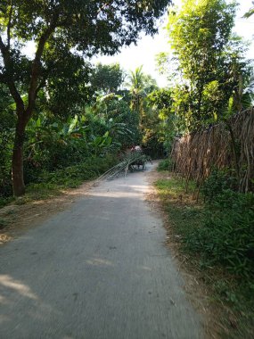 Parkın güzel manzarası