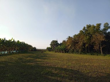 Parkın güzel manzarası